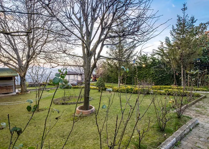 Uludag & Seyir Yigitali